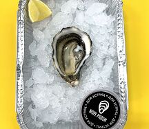 Устрица Жилардо