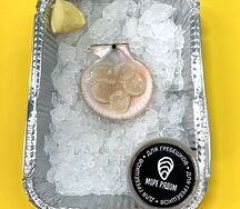 Морской гребешок