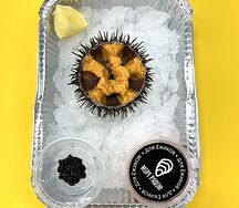 Морской ёж сливочный