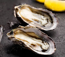 Устрицы