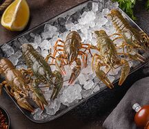 Раки мелко-средние