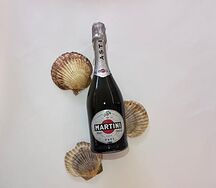 Martini Asti Իտալիա