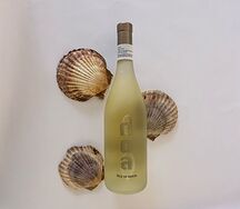 Noa Cuvee Reserve 2022
