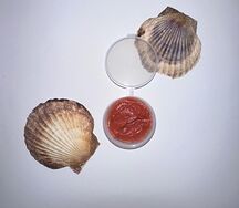 Լոլիկի սոուս