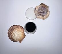 Պոնզու սոուս
