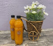 Морс домашний из ягоды облепихи
