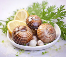 Escargot exotique