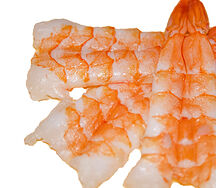 Sashimi crevette