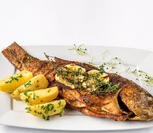 Carpe grillée