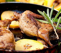 Pintade