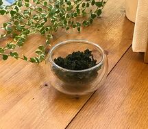 Водоросли вакаме