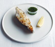 Палтус