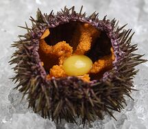 Морской ёж