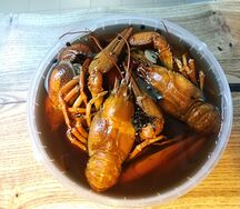 Раки вареные классические XL