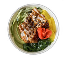 Unagi Eel
