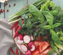 Ассорти из свежих овощей и зелени по-кавказски Малое