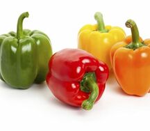 Болгарский перец