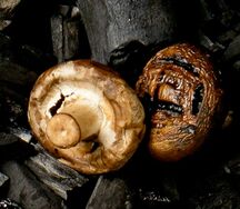 Шампиньоны на углях