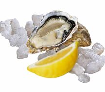 Устрица открытая Осака