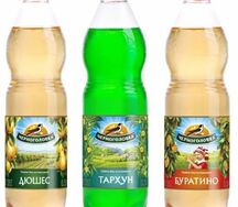 Лимонад Черноголовка