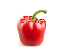 Перец болгарский