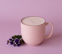 Раф Лаванда 