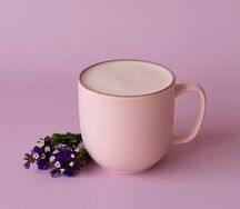 Раф Лаванда 