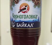 Черноголовка Байкал