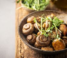 Грибы на мангале