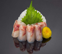 Сашими Сибас