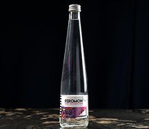 Вода негазированная Feromon