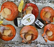 Плато Исландских гребешков