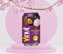 Вьетнамский сок из мангостина Vinut