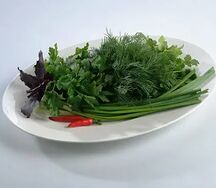 Свежая зелень