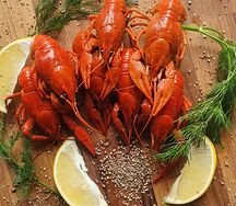 Раки варёные средние