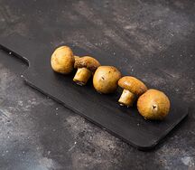 Грибы гриль