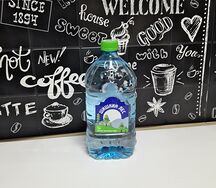 Шишкин лес Вода негазированная
