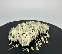 Ролл Цезарь