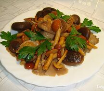 Грибная поляна
