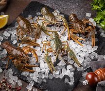 Раки средние