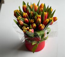 Тюльпаны 27 шт в шляпной коробке на 8 марта