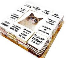Торт-открытка недовольный кот