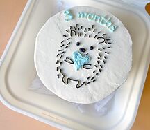 Бенто-торт Ежик с сердечком