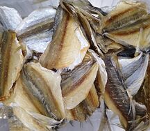 Жёлтый полосатик