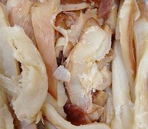 Кальмар рваный