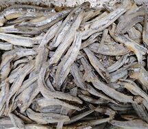 Анчоусы