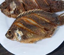 Poisson frit