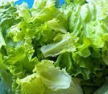 Salade verte