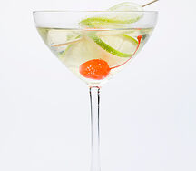 Martini blanc ou rouge
