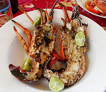 Langouste grillée